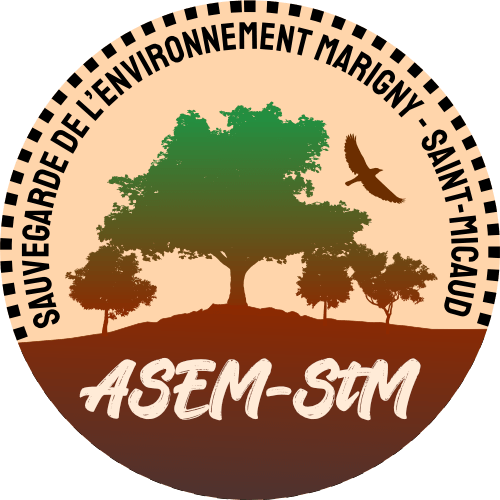Logo ASEM-StM